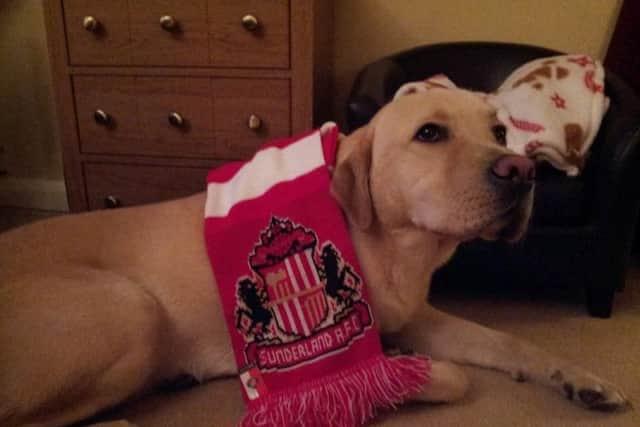 Wilson wears his SAFC scarf with pride. Picture: Lou Debbage.
