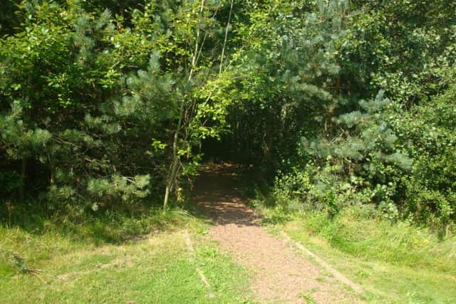 Monkton Community Woodland has been described as a 'rural haven'.