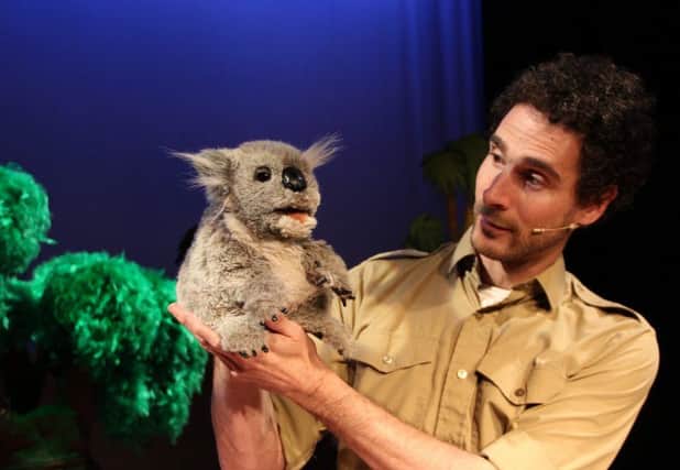 Steven Lees How the Koala Learnt to Hug is coming to the Customs House.