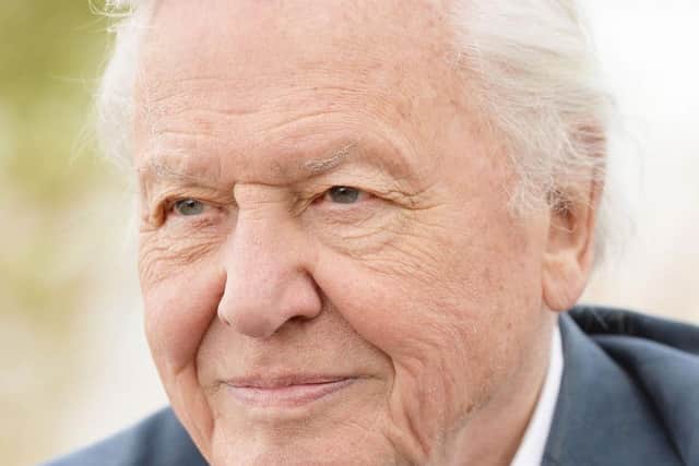 The new polar research ship is to be named after Sir David Attenborough.