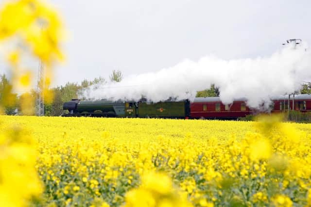 The Flying Scotsman passes a rapeseed field near Durham, as part of its UK tour.