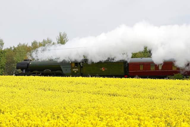 The Flying Scotsman passes a rapeseed field near Durham, as part of its UK tour.