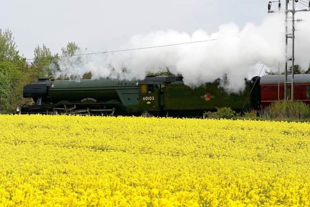 The Flying Scotsman passes a rapeseed field near Durham, as part of its UK tour.