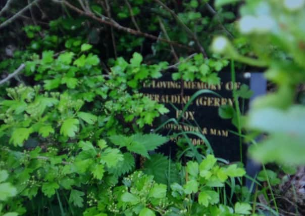 Geraldine Fox's grave was left looking 'like a jungle'