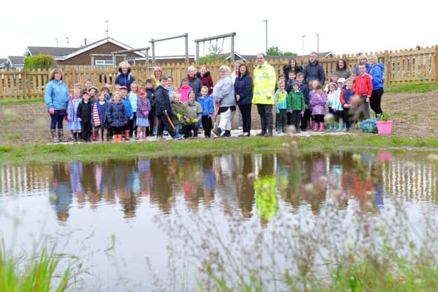 Fellgate Primary School's new pond and water plants.