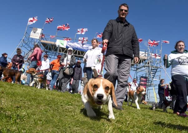 Thousands of four-legged friends will be on show at the Great North Dog Walk.