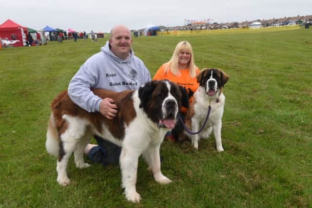 The 2016 Great North Dog Walk at The Leas, South Shields, on Sunday. Bob and Karen Gardner with their dogs Toby and Mitzy
