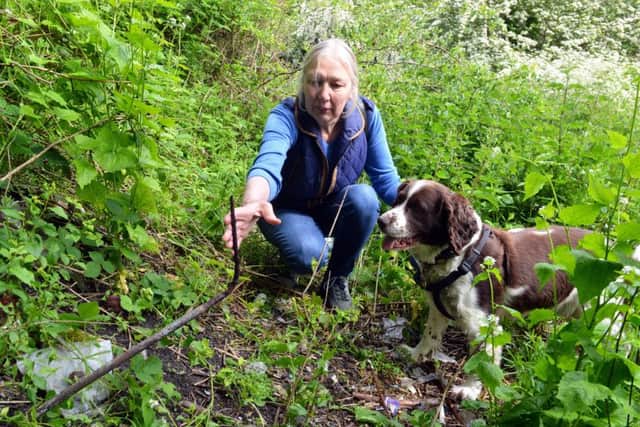 Maureen Scharlott and dog Jasper at the location of where her other dog Sid was impaled on a spike