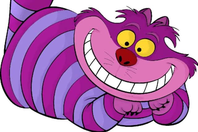 Do the kit's colours remind you of the Cheshire cat from Alice in Wonderland?