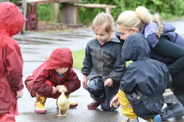 Boldon Nursery School has been named School of the Year in a national awards scheme.