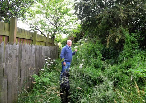 Fred Roberts complaining about overgrown footpath on the back of Farrow Drive