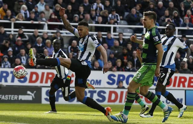 Jamaal Lascelles became a key player for Newcastle in the latter part of last season