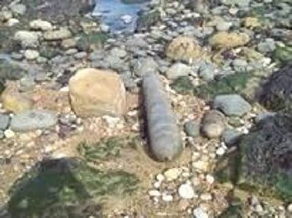 The object found on Hendon Beach in Sunderland on Monday, August 22. Pic courtesy of Andrew Robertson.