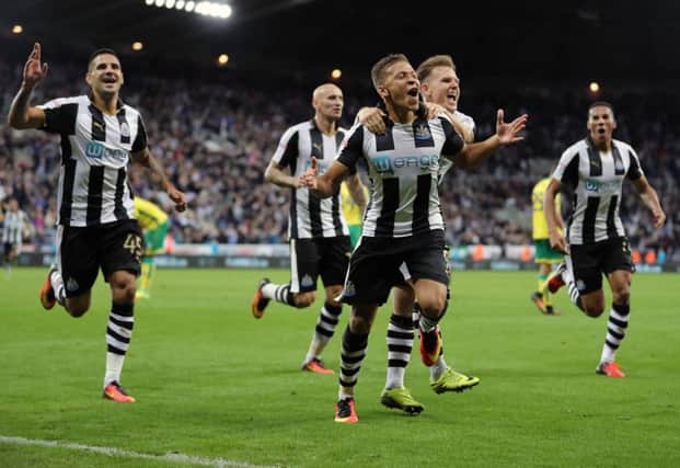 Dwight Gayle celebrates his last-gasp winner against Norwich