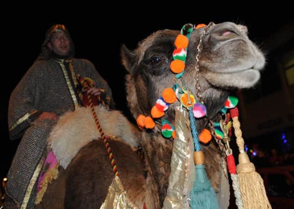 The annual Christmas Camel Parade walks along Ocean Road to Haven Point in South Shields.