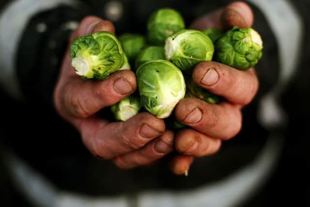 Brussels sprouts.
