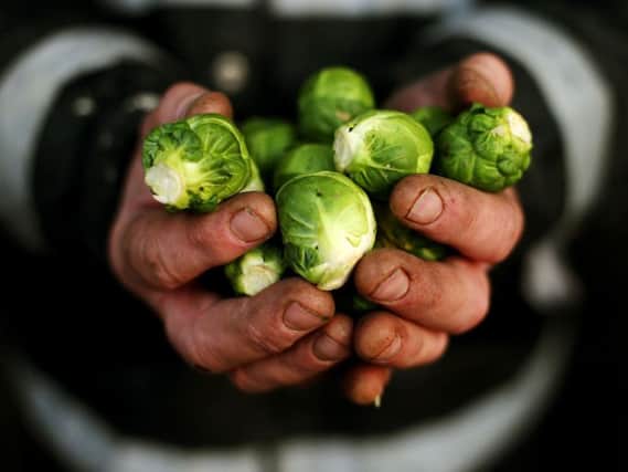 Brussels sprouts.