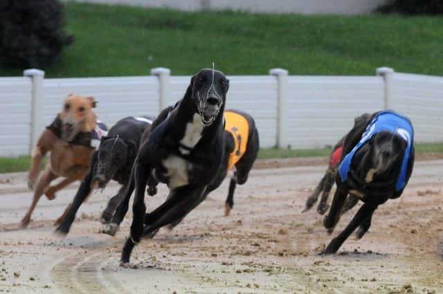 People have been encouraged to enjoy a night at the dogs in the name of charity.