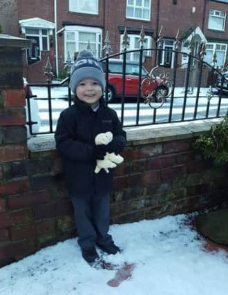 Snow in South Tyneside. Harry. Picture sent in by Lisa Neilson.