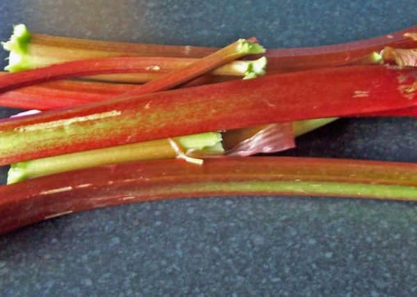 Sticks of rhubarb.