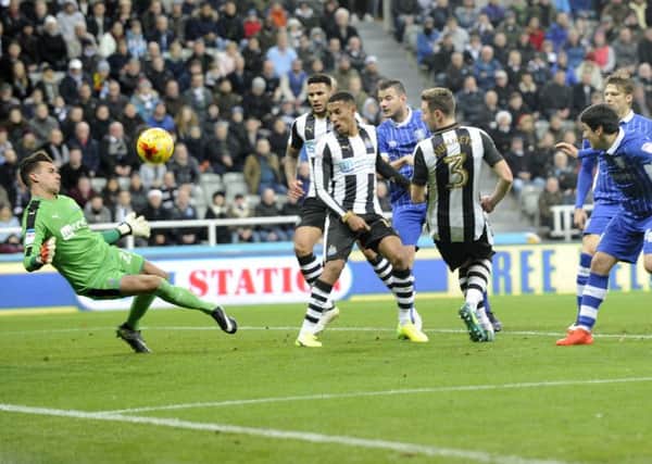 Newcastle United goalkeeper Karl Darlow denies Sheffield Wednesday in a recent game at St Jamess Park.