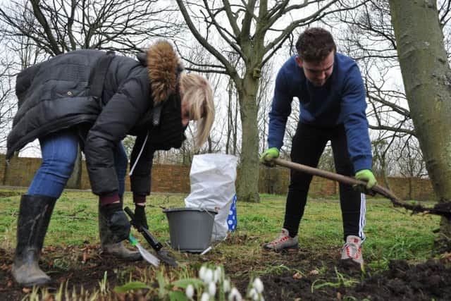 Workers dig in at Jarrow Hall