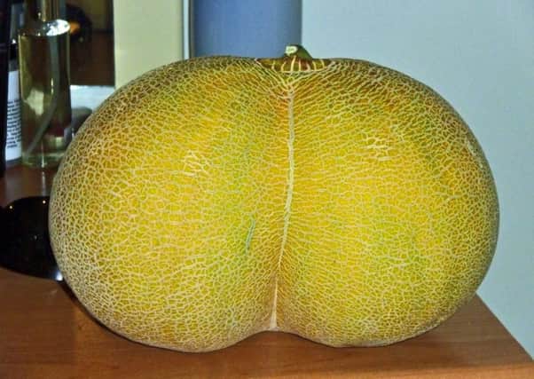 Conjoined melon strikes a bum note.