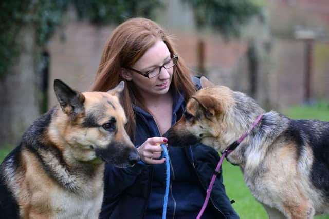 Natasha Doran was attacked by a dog while walking at Littlehaven Beach.
Dog's from left Oscar and Tess