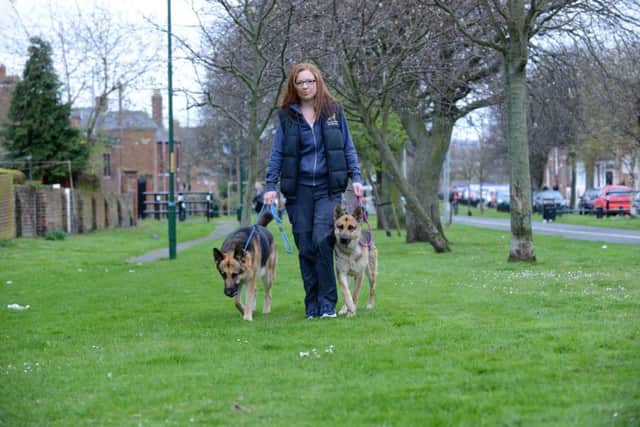 Natasha Doran was attacked by a dog while walking at Littlehaven Beach.
Dog's from left Oscar and Tess