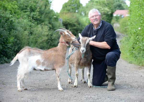 Fred Rylance has been reunited with his goats Gypsie and Lottie (L)