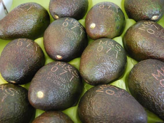 Lasered avocados. Picture issued by Marks & Spencer