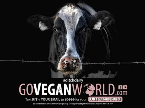 Cow advert