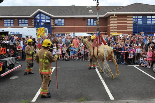 Horse rescue demonstration at South Shields Community Fire Station open day.