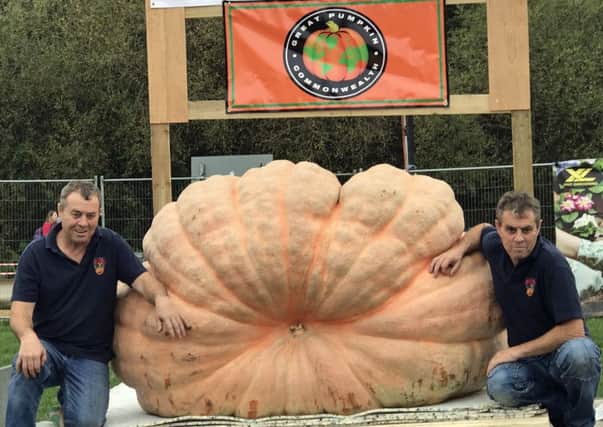 Brothers Stuart and Ian Paton with their winning pumpkin. Picture by Thompson & Morgan