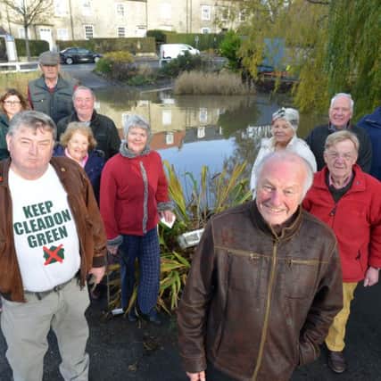 Residents have taken over the maintenance of Cleadon Village pond.