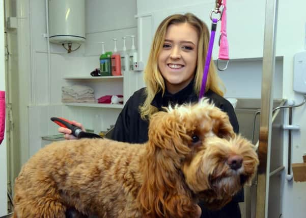 Hannah Bell has opened a dog grooming business, Pooches Parlour.