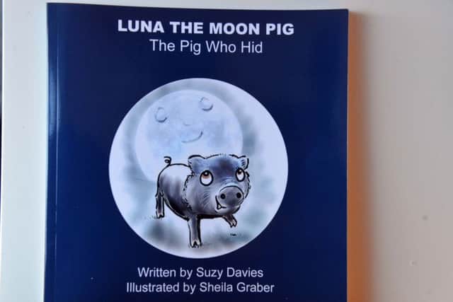 Illustrater Sheila Graber new book, Luna The Moon Pig.