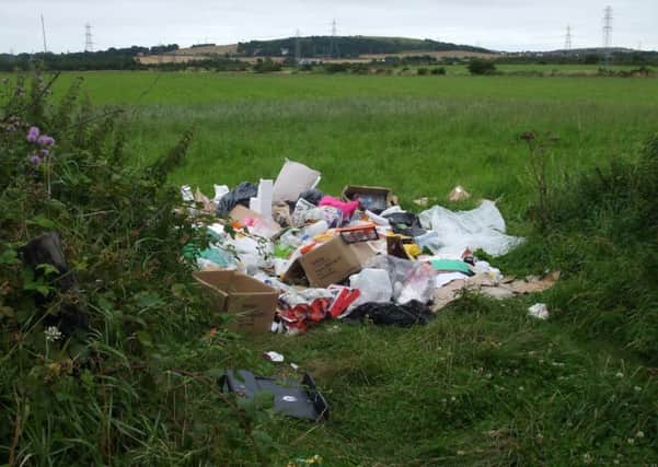 The waste dumped at West Boldon