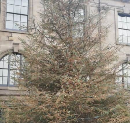 Christmas tree outside South Shields Town Hall