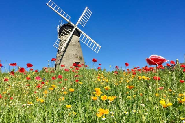 Whitburn Windmill