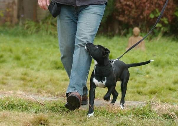 Dog walkers in South Tyneside face new rules
