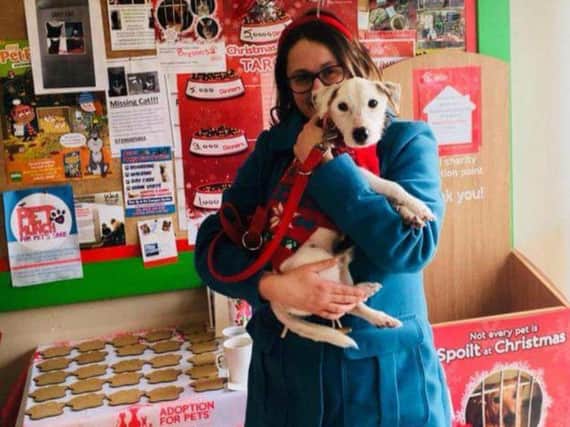 Lisa Richards from Bryson's Animal Shelter with Spike.