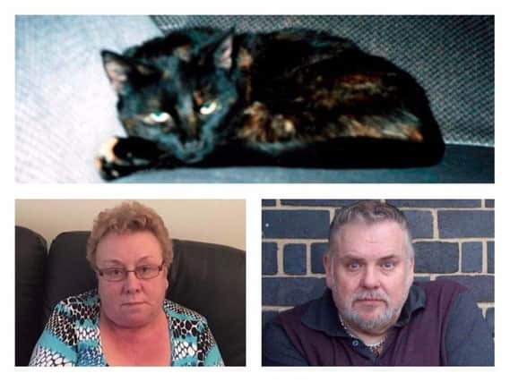 Clockwise from top, Sophie the cat, Thomas John Hogarth and Aileen Holmes.