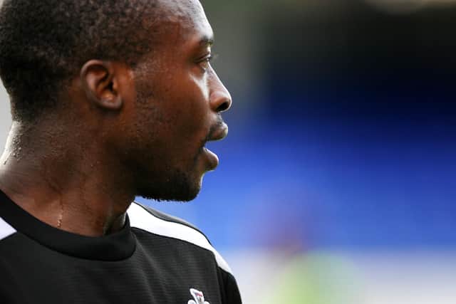 Shola Ameobi