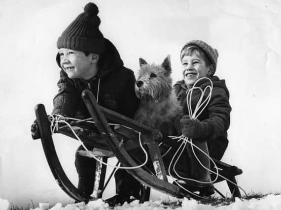 Two young boys and their dog enjoy the first snowfall of December 1967.