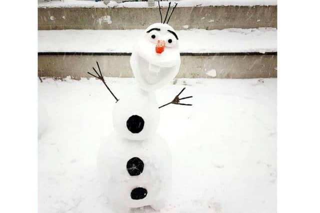 This Frozen-inspired effort, created by Lee Patrickson and son Issacc, wouldn't pass muster either. Great snowman though!