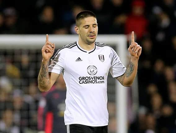 Aleksandar Mitrovic