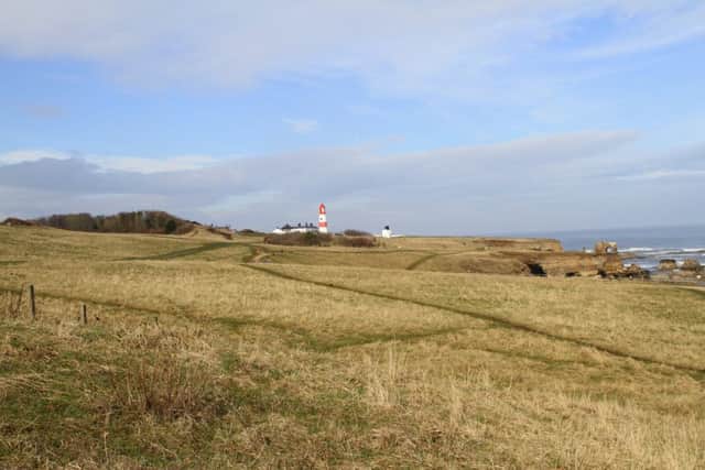 Whitburn Coastal Park, which is cared for by the National Trust. Picture by Dougie Holden.