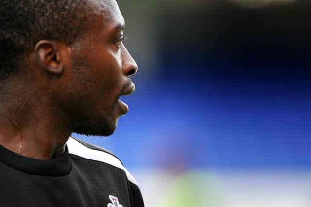 Shola Ameobi
