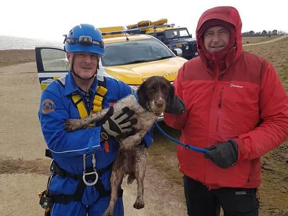 Members of the Coastguard team reunited the dog with its owner. Picture by Sunderland Coastguard Rescue Team.
